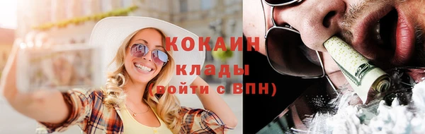 Альфа ПВП Пестово