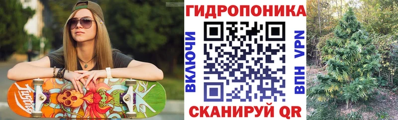 Бошки марихуана сатива  купить  цена  Советский 